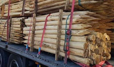 Robinia palen geschild